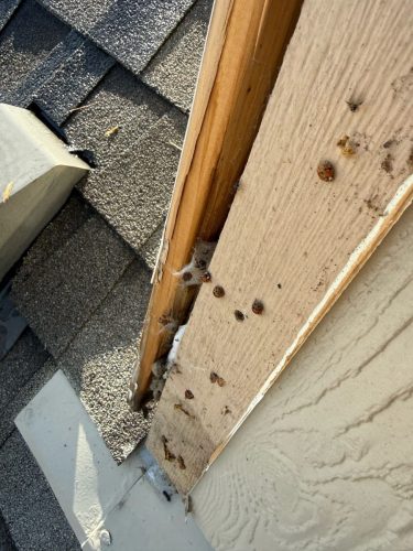 Owasso-home-remodeling-kinect-services-2-2-2026-023