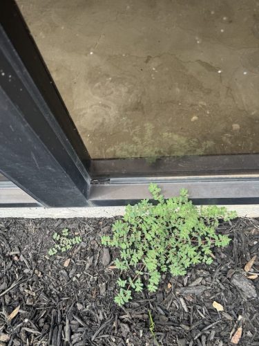 Owasso-home-remodeling-kinect-services-8-18-2025-98