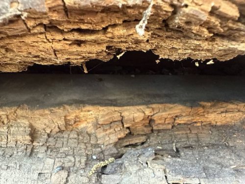 home-remodeling-owasso-kinect-services-progress-updates-6-9-2025-341