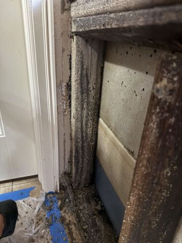 home-remodeling-owasso-kinect-services-progress-week-of-6-23-2023-21